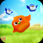 Taptap Bird - Puzzle games